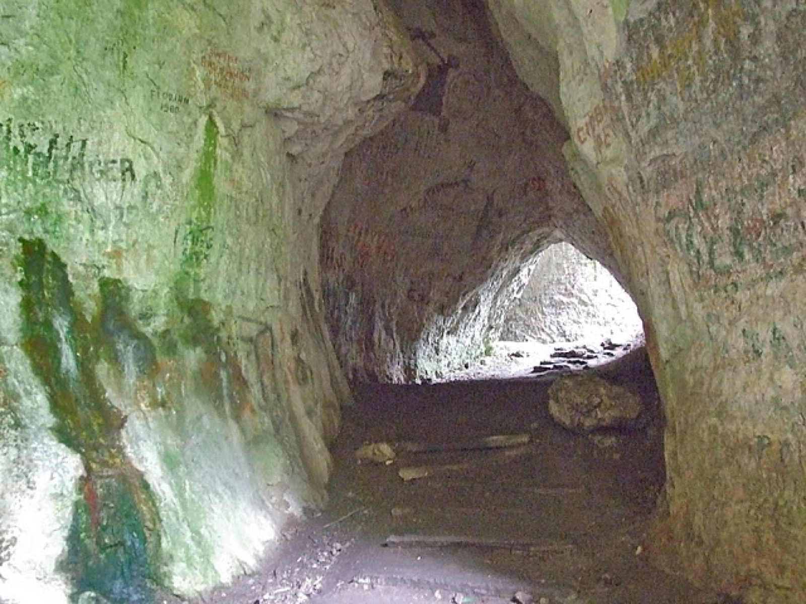 Galeria peșterii, privită dinspre interior spre intrare